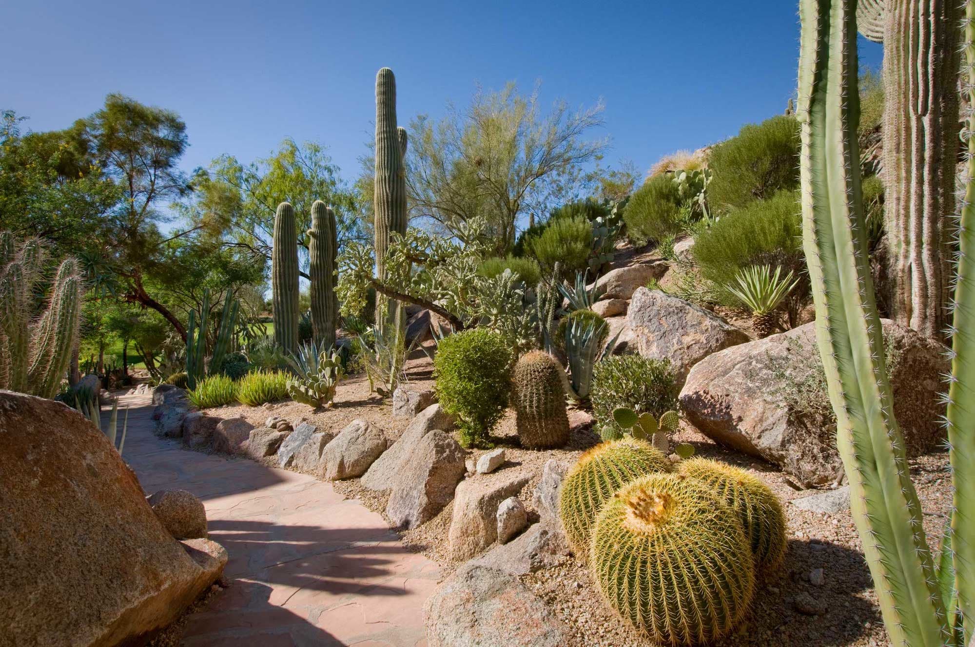 The Phoenician Cactus Garden